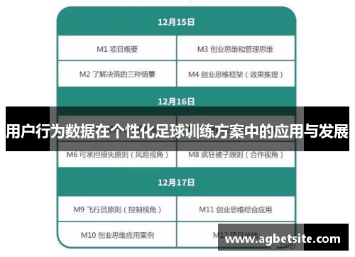 用户行为数据在个性化足球训练方案中的应用与发展
